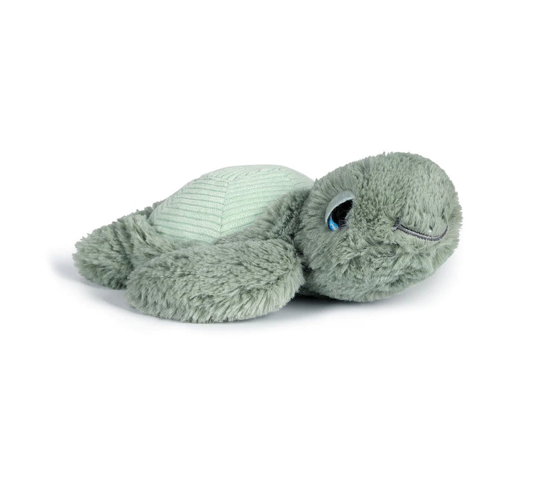 Little Tyler Turtle Soft Toy