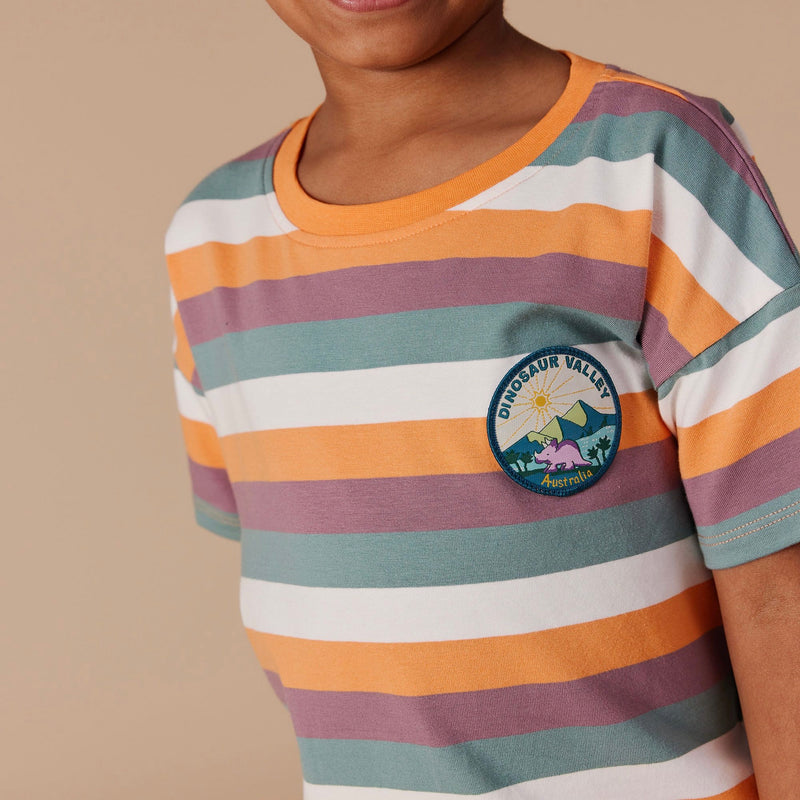 Dino Valley Nostalgia Stripe T-Shirt