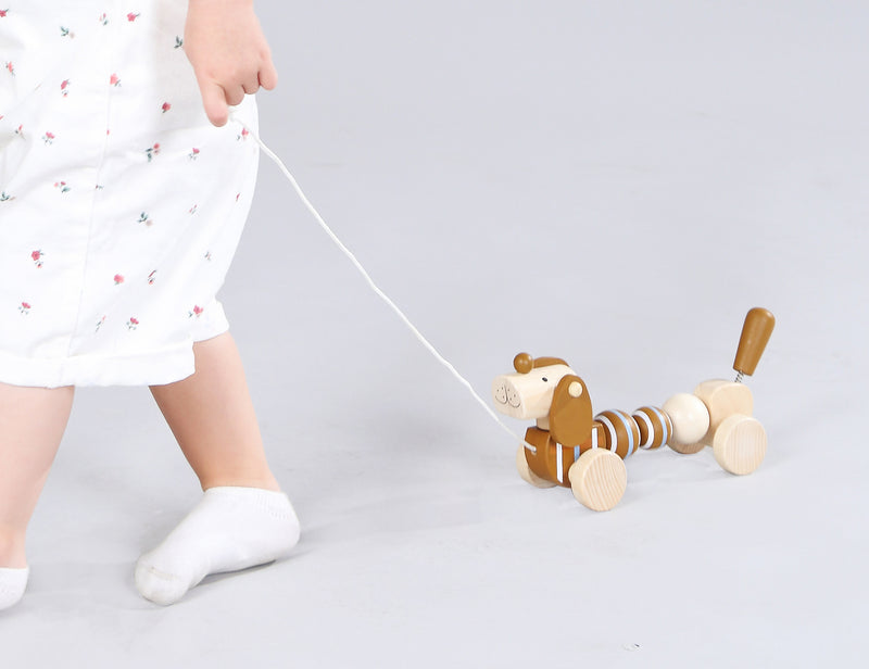 Wooden Pull Along Animals