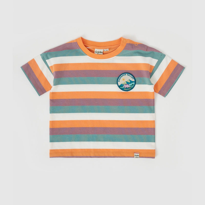 Dino Valley Nostalgia Stripe T-Shirt