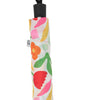 Compact Umbrella