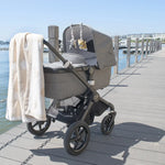 Stroller Toys - 2 Pack
