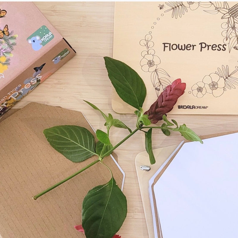 Australian Flora Flower Press Craft Kit