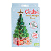 Grow Your own Christmas Tree