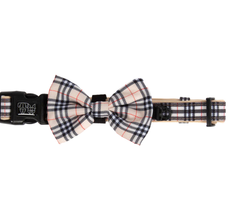 Dog Collar & Bow tie