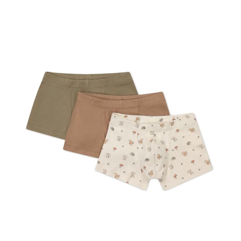 Organic Cotton 3PK Trunk - Spiced/Oak/Woodland Friends