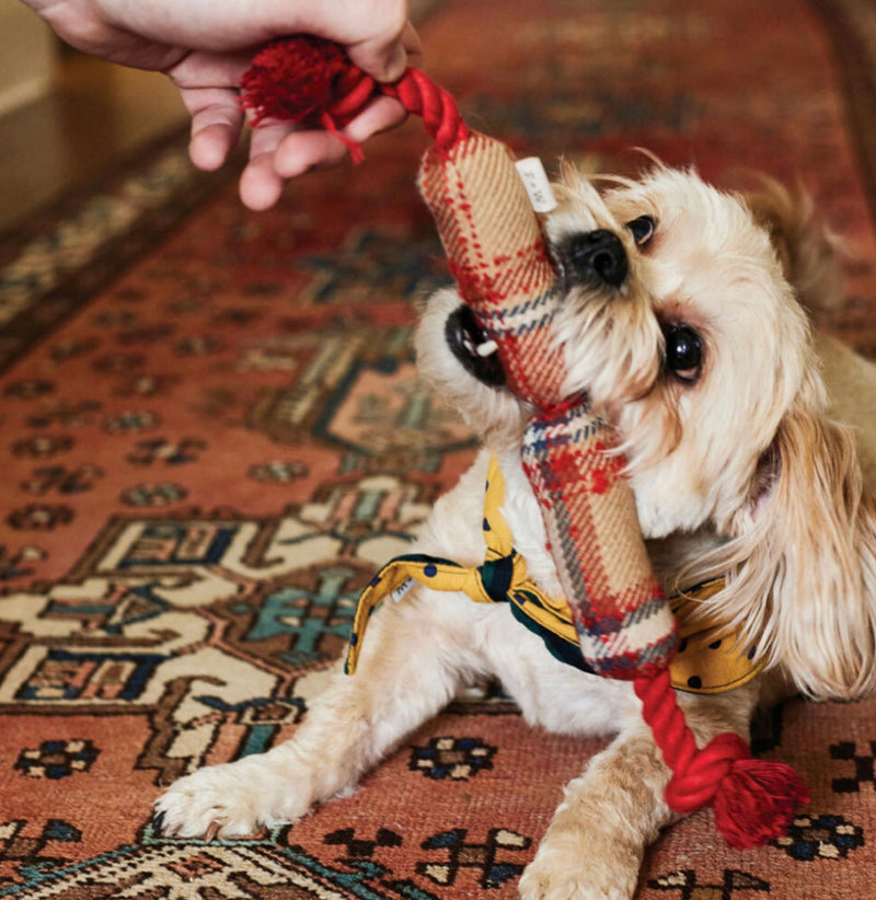 Sausage Rope Dog Toy