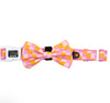 Dog Collar & Bow tie