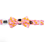 Dog Collar & Bow tie