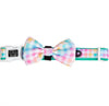 Dog Collar & Bow tie