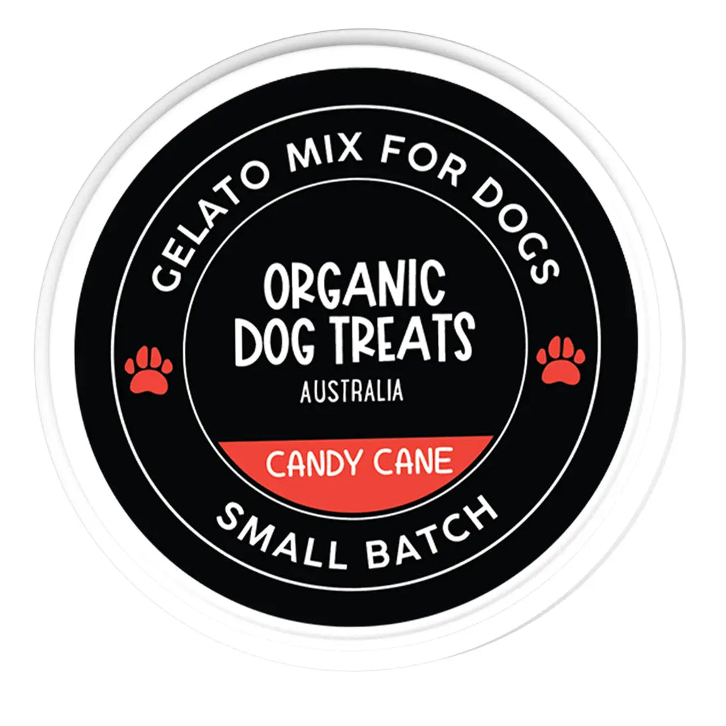 Christmas Dog Gift Diy Gelato Kit - Organic