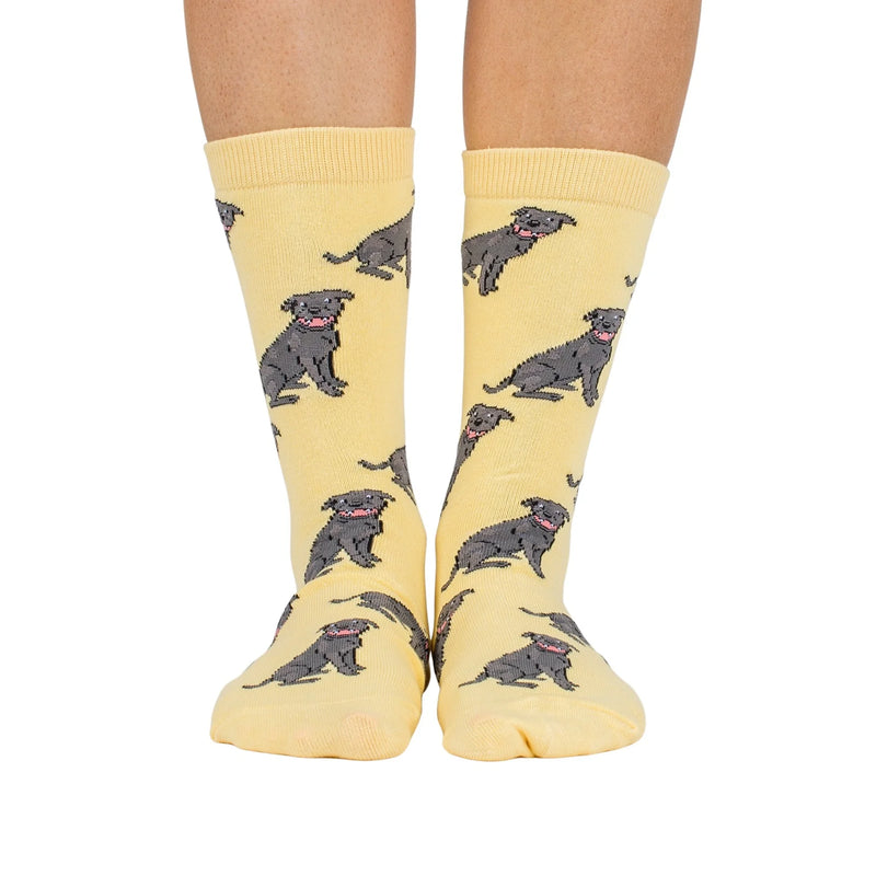 Dog Breed Socks