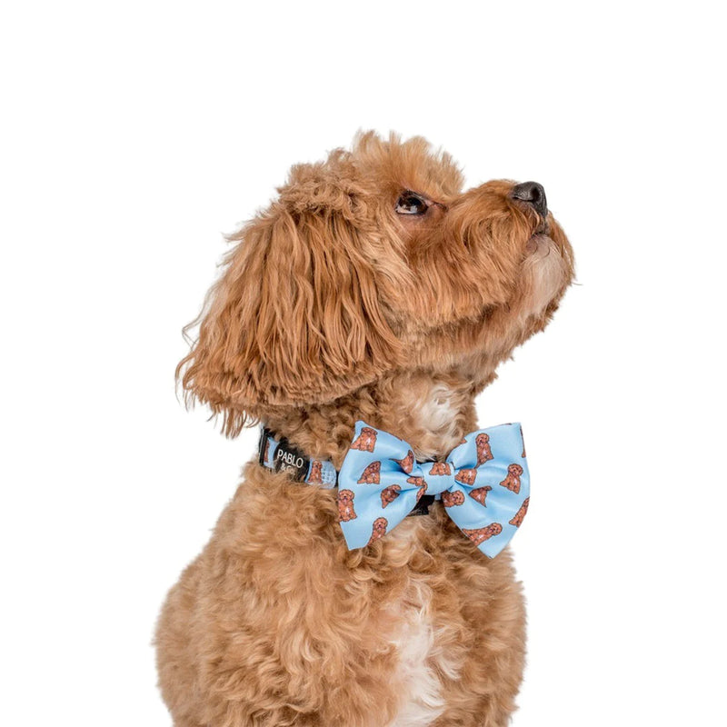 Dog Bow Tie