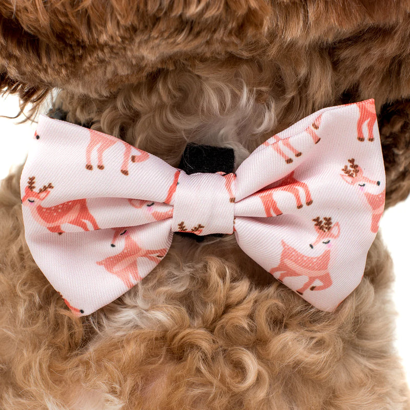 Dog Bow Tie