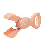 Sand Claws Lobster Coral