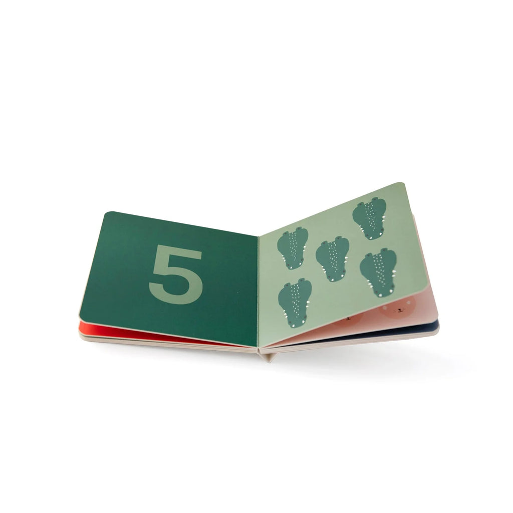 Counting Book