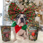 Christmas Dog Treats - Festive Treat Pouches (BEEF)