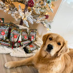 Christmas Dog Treats - Festive Treat Pouches (BEEF)