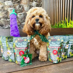 Christmas Dog Treats - Festive Treat Pouches (BEEF)