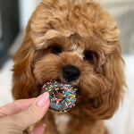 Doggie Donuts - Dog Treats