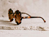 Daisy Sunglasses - Tortoise